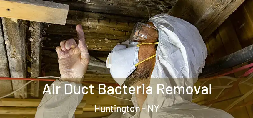  Air Duct Bacteria Removal Huntington - NY