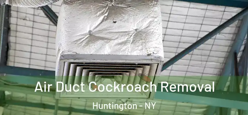  Air Duct Cockroach Removal Huntington - NY