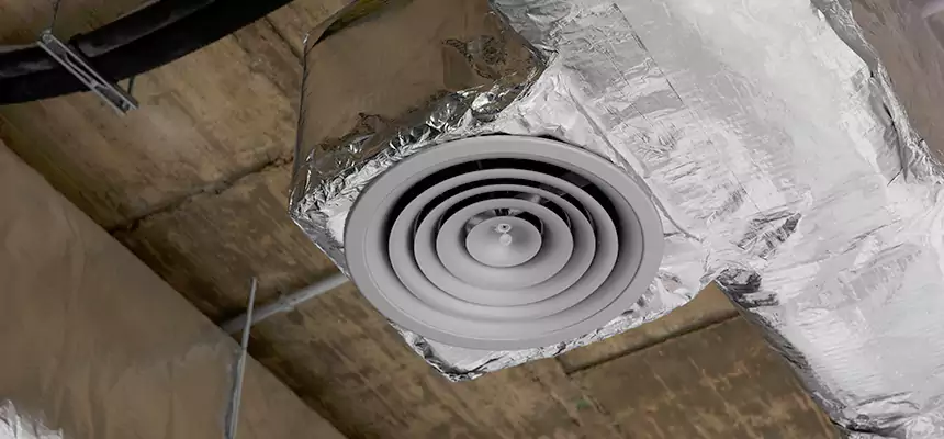 Our Excess Lint Removal from Dryer Ducts Services in Huntington, NY