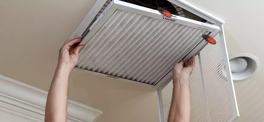 Our Insect Removal from Air Ducts Services in Huntington, NY