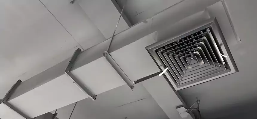 Our Rodent Droppings In Vents Services in Huntington, NY