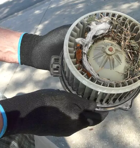 About Air Duct Rat Removal in Huntington, NY