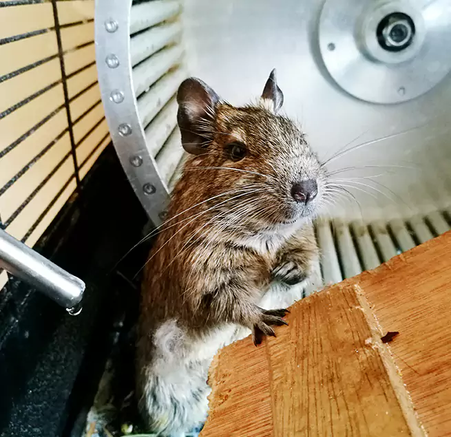 Why Homeowners & Businesses Trust Us Huntington, NY?